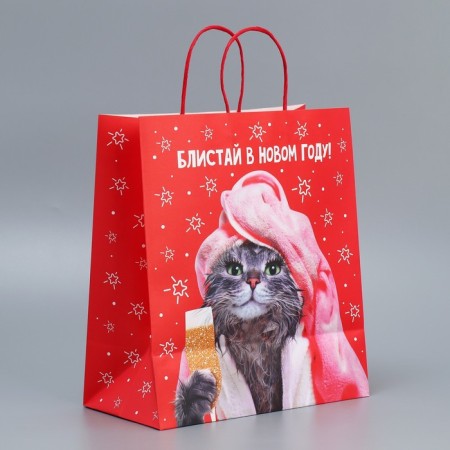 Gift Crafts "Blistai", 28 x 32 x 15 cm, New Year-3