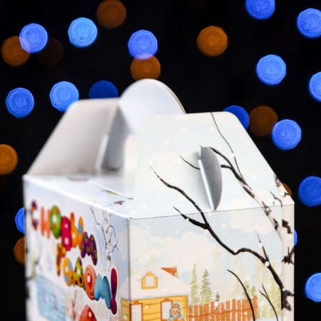 Gift box "New Year's walks", 16 x 10 x 23 cm-2