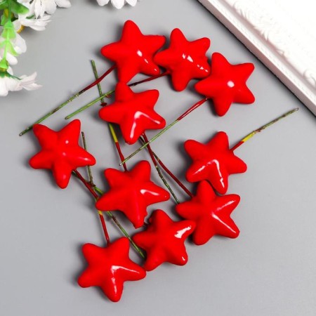 Decor for the creativity of "Star" set of 10 pcs 3.8x3.8 cm-2