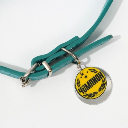 Dog collar "Champion" with an addressee, Osh 27-34 cm-2