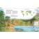 Illustrated Atlas. Earth