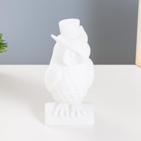Night Owl LED from white batteries 7x9x19 cm Risalux-3