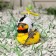 Duck with propeller yellow, star