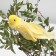 Decor Bird 13 x 4 x 4 cm mix