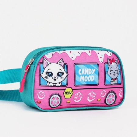 Barry Bag for a girl "Kittens" 20x11x4cm-1