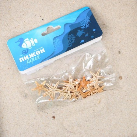 A set of natural sea stars, 1.5 - 2.5 cm, 20 pcs-3