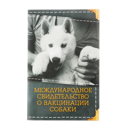 International Width "On Dog Vaccination", 36 pages, 10.3 x 15.1 cm-2