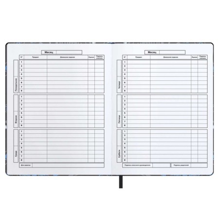 School diary for grades 1-11 "Sneakers", hard cover with artificial leather foam, curly, silk-screenshop, 48 sheets, OFSET OFSET 80g/m2, universal cheat sheet-3