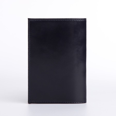 Cover for passport, blue color-1