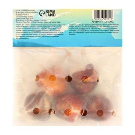 Tulip Light Pink Prince, river 12/+, 5pcs, autumn 2024-1