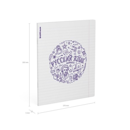Subject notebook, 48 sheets, ruler, Russian language Erichkrause "Chaos", plastic cover silk-screen cover, block offset 100%, information block-4