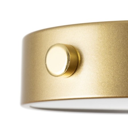 Sconces with switch "Pianty" LED 12W 4000k gold 15x26x16cm-5