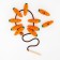Lining "Carrots", 10 pcs. In the set