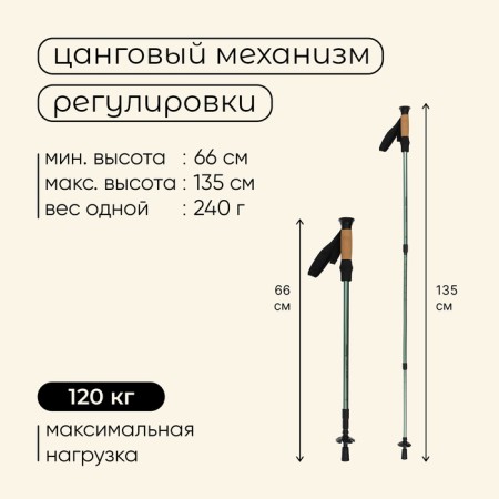 Sticks Tracking Maclay Alu 100, telescopic, 2 pcs.-2