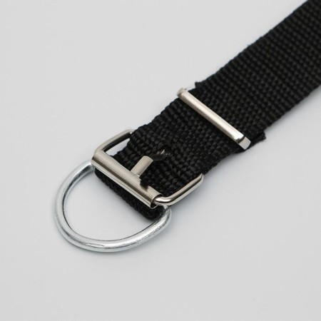 Animal collar-3