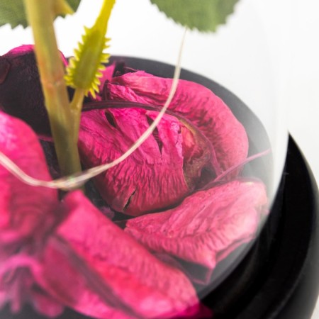 Spinker Sales "Pink Rose" LED 3AAA 8x8x17 cm Risalux-4