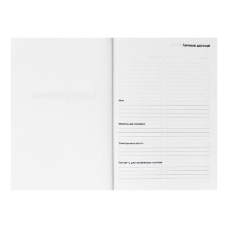 Diary of a low-up A5, 128 sheets, "Serious Diary", Cardboard 7BC cover, Soft-Touch lamination, Block 70 g/m2-3