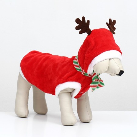 Costume "New Year with horns", size L (DS 35, OG 45 cm)-3