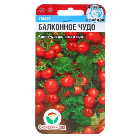 Seeds Tomat "Balcony Miracle", ultra -carbonated, determinant, stunted 20 pcs