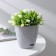 Kashpo with basal watering "Rumba", 1.5 l, color gray silk