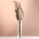 Set of dried flowers "reed", banch length 65 (+/- 6 cm), natural