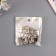 Castle Metal for casket chrome + nails. set 4x2.7 cm