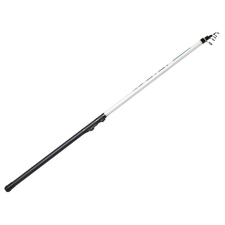 Salmo Blaster Ultima Telerod rings, test 5-20 g, length 4 m.
