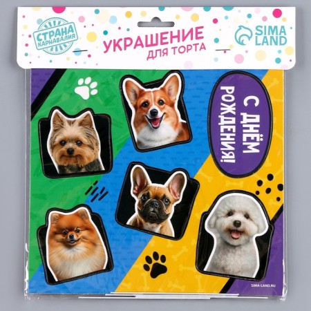 Topper cardboard on a substrate with a “dog” wire-4