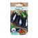 Elekik eggplant seeds, f1, 10 pcs