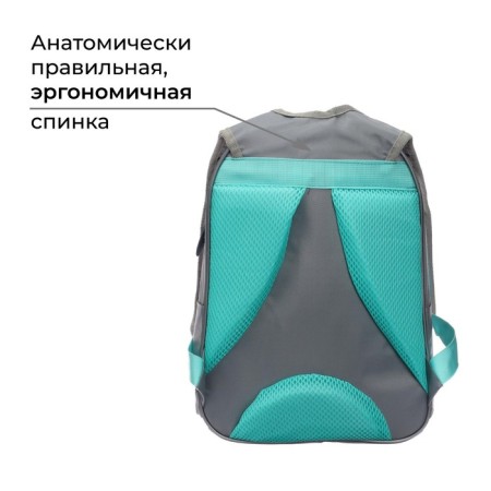School backpack, 37 x 26 x 13 cm, ergonomic back, Calligrata AN "Girl"-2