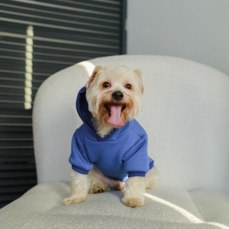 Single-fat sweatshirt for dogs (foot with a hose), size S (DS 24, Osh 33-37, OG 42-44), blue