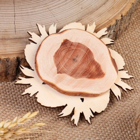 Hot "spruce bump" d = 11 cm, juniper-2