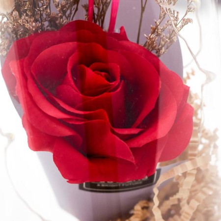 Nightlight "Rosa flask in the bouquet" LED 3AA MIX 23x11x11 cm Risalux-7