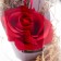 Nightlight "Rosa flask in the bouquet" LED 3AA MIX 23x11x11 cm Risalux
