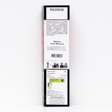 Raspberry promising varieties "Mishutka", 1 pc, tube, spring 2025-1