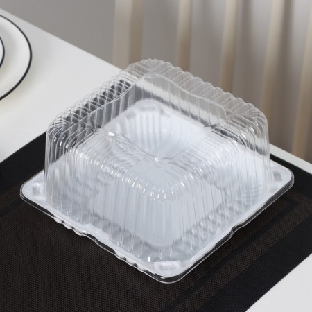 Cormore plastic disposable IP-43, cover 18.5 × 18.5 × 10.5 cm, internal 16 × 16 × 10 cm, 480 pcs/un-5