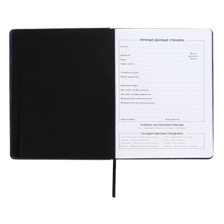 School diary for grades 1-11 “Owl Girl”, hard cover, artificial leather, “soft-tach”, lies, 48 ​​sheets, universal cheat sheet, block 80g/m2-3