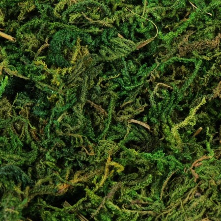 Moss for decor 50 g green-2