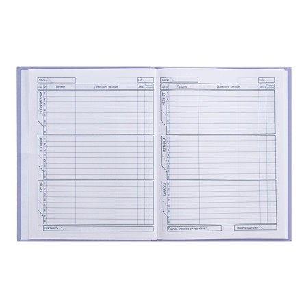 Universal diary for grades 1-11 My Plush Friend, solid cover, glossy lamination, sparkles, 40 sheets-7