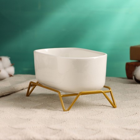 Bonsai pot on the stand, 17x8.5x5cm-2