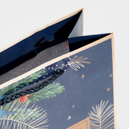 Laminated vertical package “Make desire”, MS 18 x 23 x 8 cm, New Year-4