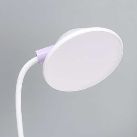 Highway lamp "Gard" LED, from USB/AKB 7 W, 3000-6000 sensor to white-violet 13x12x37 cm Risalux-4
