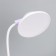 Highway lamp "Gard" LED, from USB/AKB 7 W, 3000-6000 sensor to white-violet 13x12x37 cm Risalux