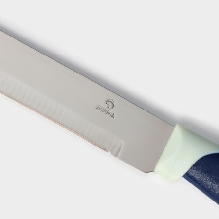 Knife Kitchen shade "Straip", blade 15 cm, blue color-3