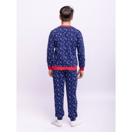 Pajamas: T -shirt, trousers, height 104 cm, multicolor color-2