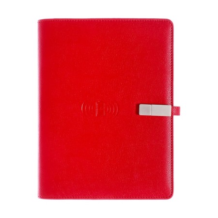 Organizer on the rings, PVC, A5.140 liters, cage, with a pen, gifts. Box, flash drive, charging red-1