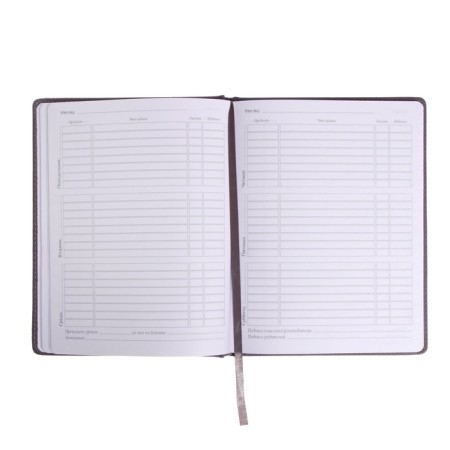 Universal diary for grades 1-11, 48 Velvet sheets, hard cover, artificial leather, thermoting, liesse, block 70 g/m2, light gray-6