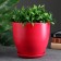Flower pot "Color Gam" red, 5 l