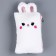 Penal School Soft "Bunny", 21 × 13 cm, plush, white color