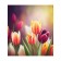 Set of napkins for setting the table "Field of tulips", rectangular, size 32x46 cm, 4 pcs